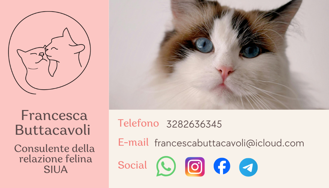 BECCARELLO ARIANNA